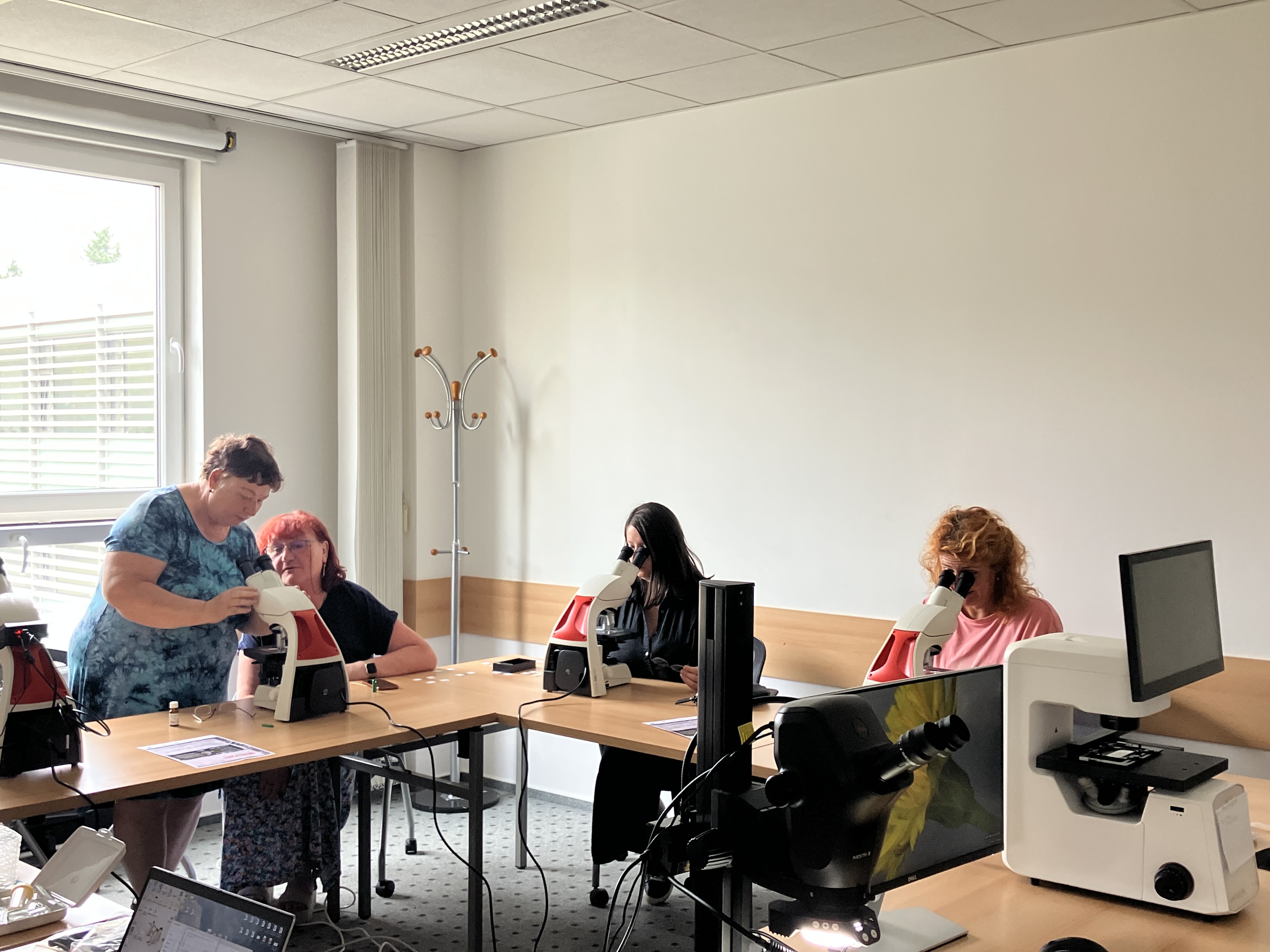 Workshop