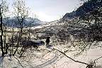 i01.jpg
